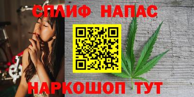 spice Кингисепп