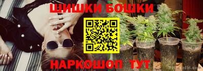 spice Кингисепп