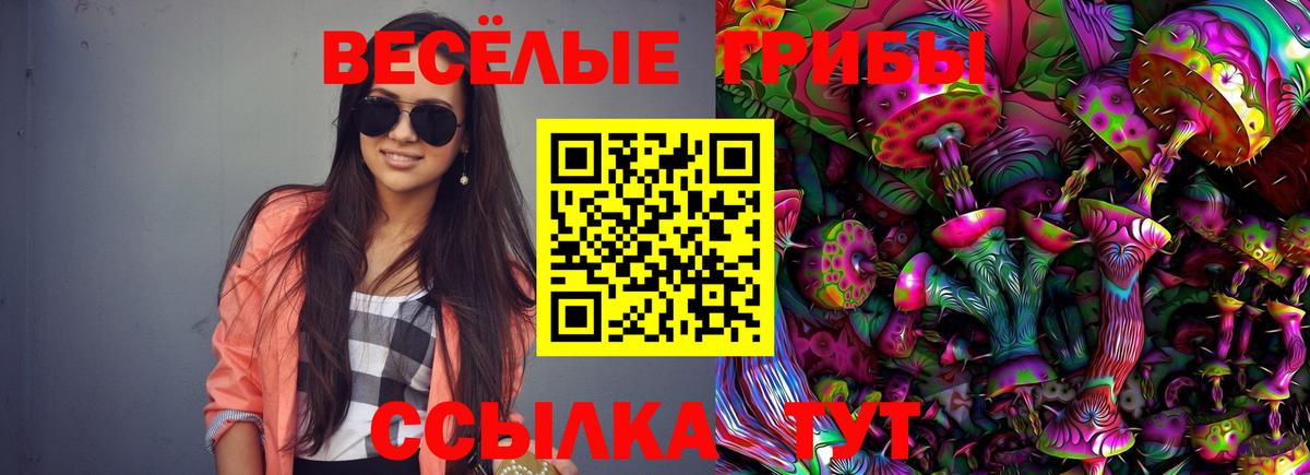 Псилоцибиновые грибы GOLDEN TEACHER Назарово