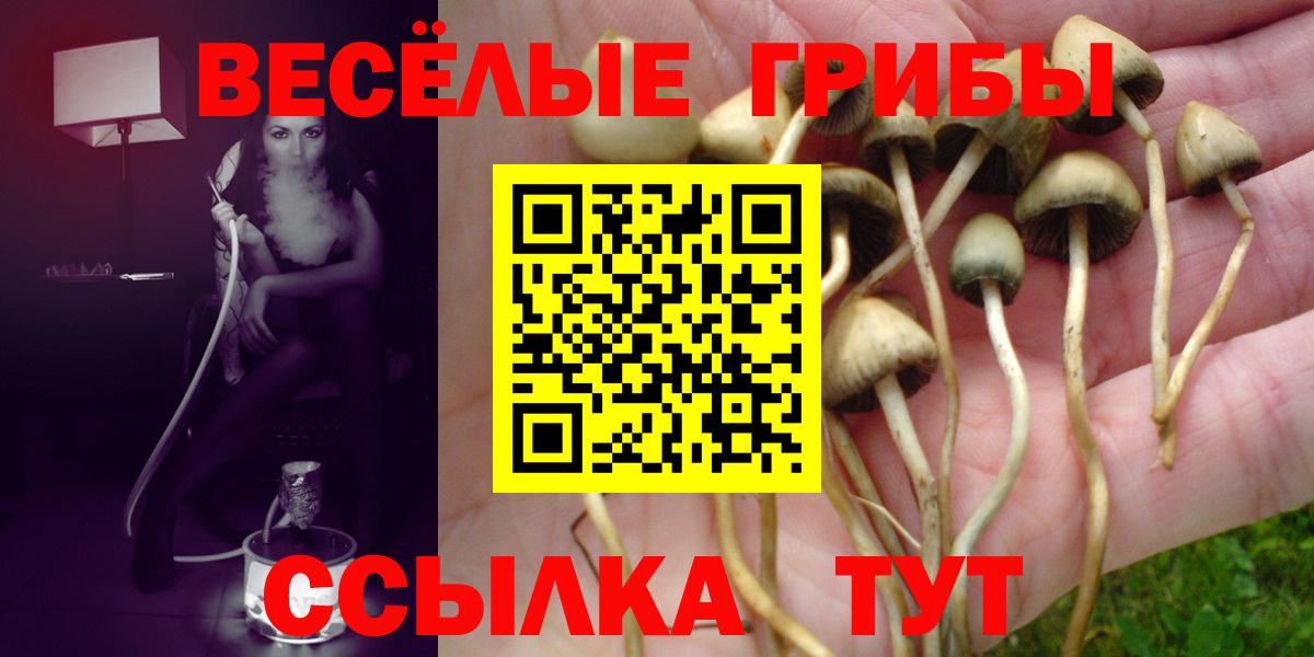 Галлюциногенные грибы MAGIC MUSHROOMS  Вход с VPN  Назарово 